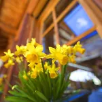 Hotel Sunstar Zermatt