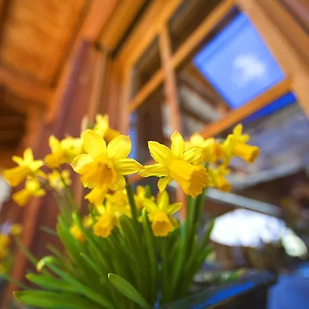 Hotel Sunstar Zermatt