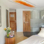 Sunstar Hotel 4*
