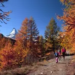 Sunstar 4* Zermatt