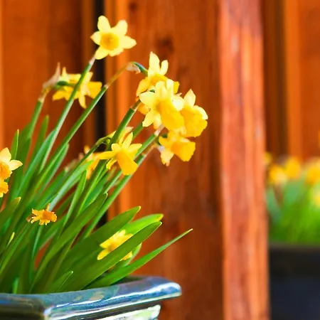 Sunstar Отель 4*