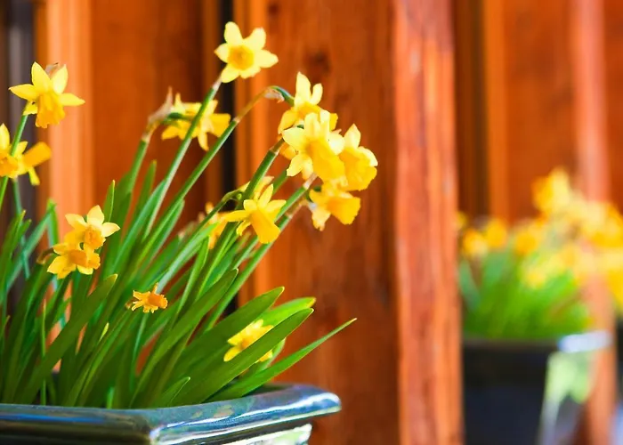 Sunstar Отель 4*