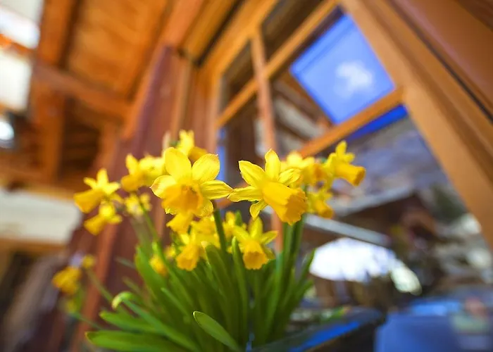 Hotell Sunstar Zermatt